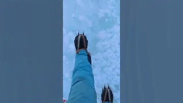 Используем кошки