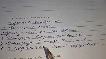 ВПР. Русский язык. 7 класс. Образец.