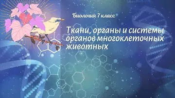 Биология 7 кл Пасечник $37 Ткани, органы и системы органов многоклеточных животных