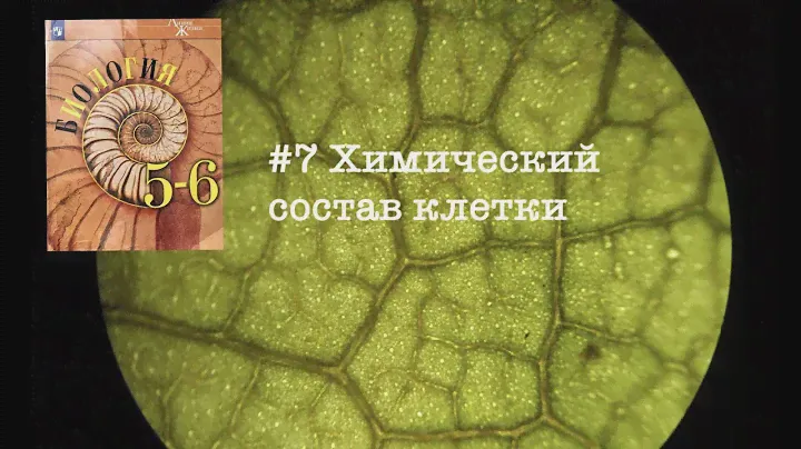 Биология 5-6 (Пасечник) аудио Параграф 7 «Химический состав клетки»