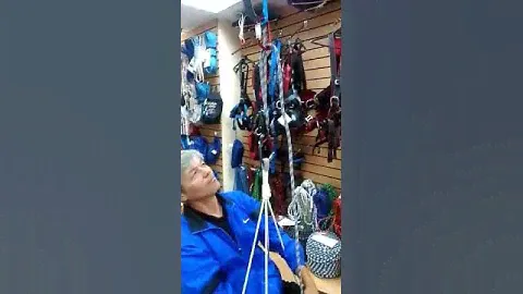 Гном Спусковое устройство