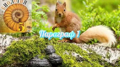 Биология 5 класс 2023 г. ( Пасечник) Параграф 1