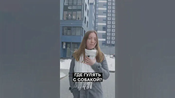Что окружает ЖК Московские ворота | Инфраструктура